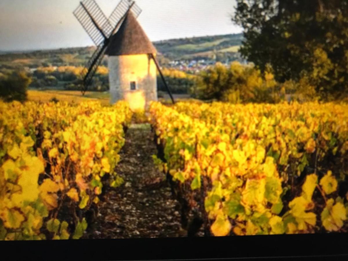 Maison M On The Dordogne Sainte-Foy-la-Grande Ngoại thất bức ảnh
