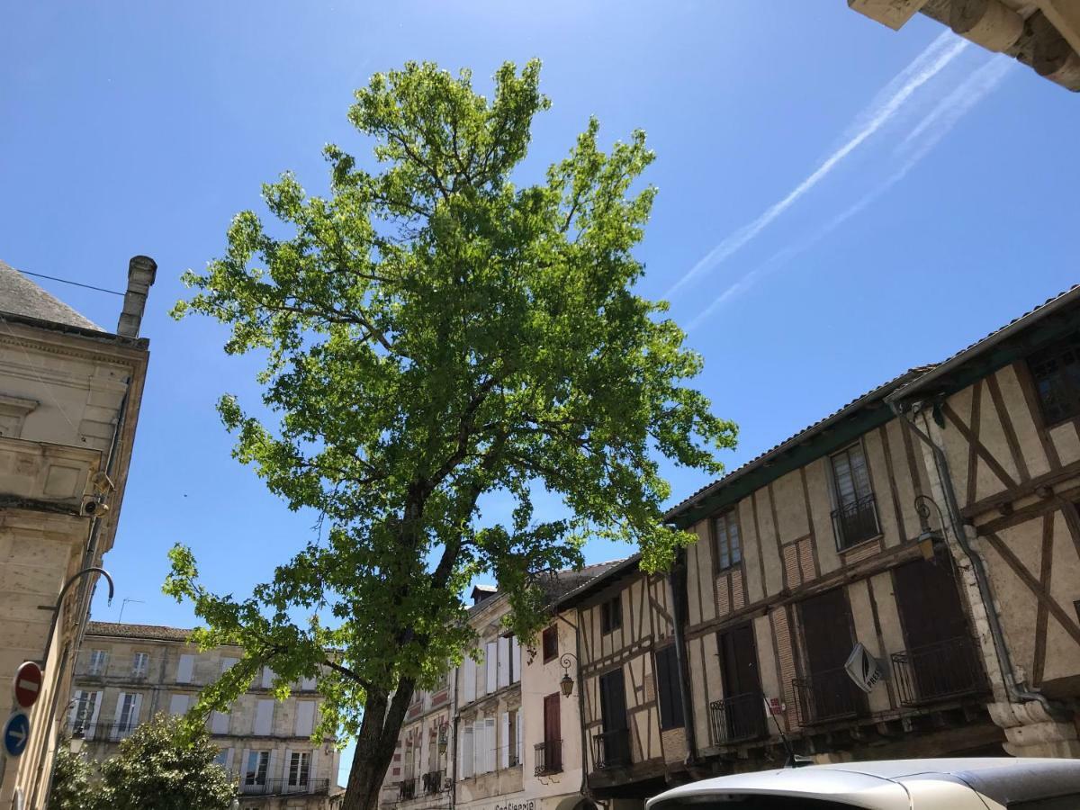 Maison M On The Dordogne Sainte-Foy-la-Grande Ngoại thất bức ảnh